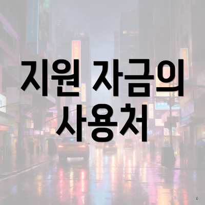 지원 자금의 사용처
