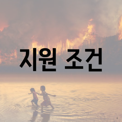지원 조건