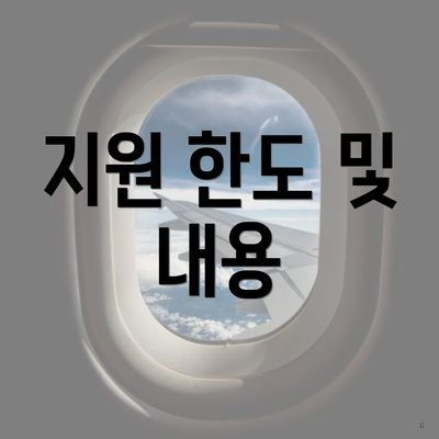 지원 한도 및 내용