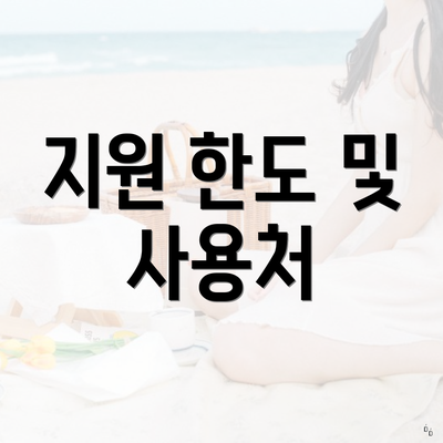 지원 한도 및 사용처