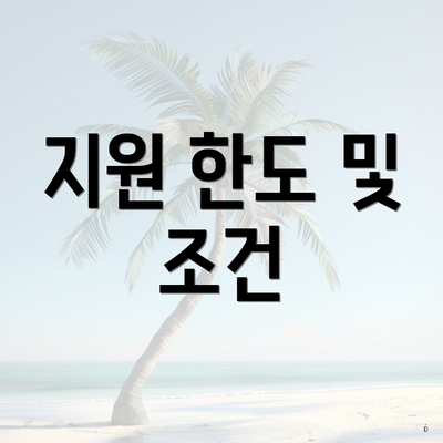 지원 한도 및 조건
