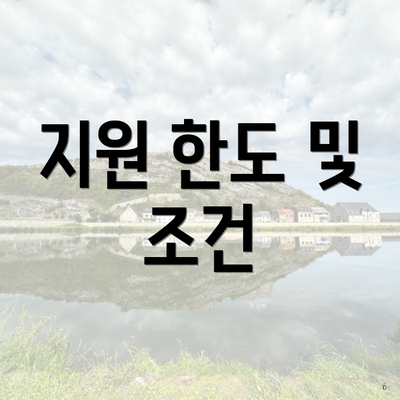 지원 한도 및 조건