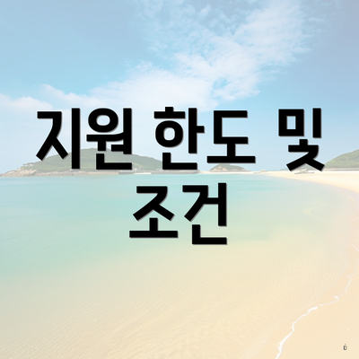 지원 한도 및 조건