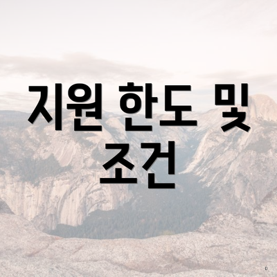 지원 한도 및 조건
