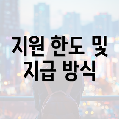 지원 한도 및 지급 방식