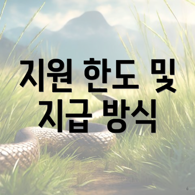 지원 한도 및 지급 방식