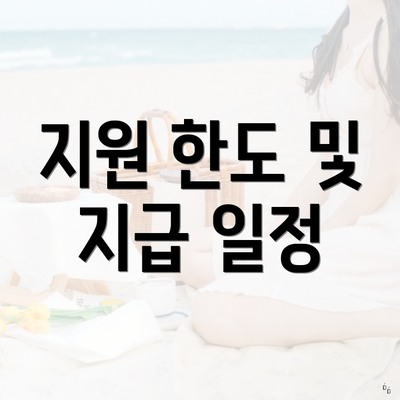 지원 한도 및 지급 일정
