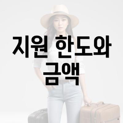 지원 한도와 금액