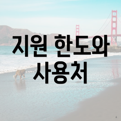 지원 한도와 사용처