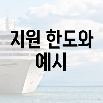 지원 한도와 예시