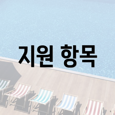 지원 항목