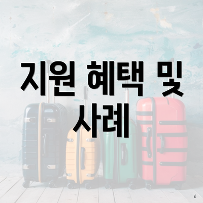 지원 혜택 및 사례