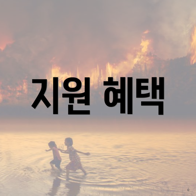 지원 혜택