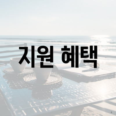 지원 혜택