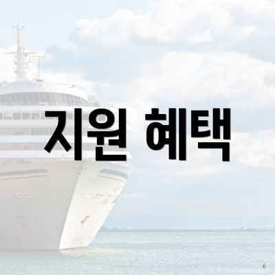 지원 혜택