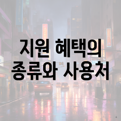 지원 혜택의 종류와 사용처