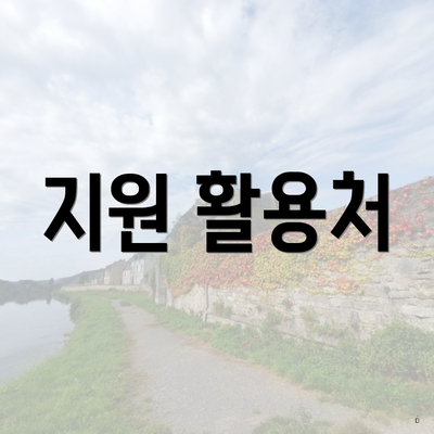 지원 활용처