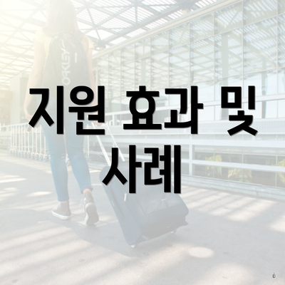 지원 효과 및 사례