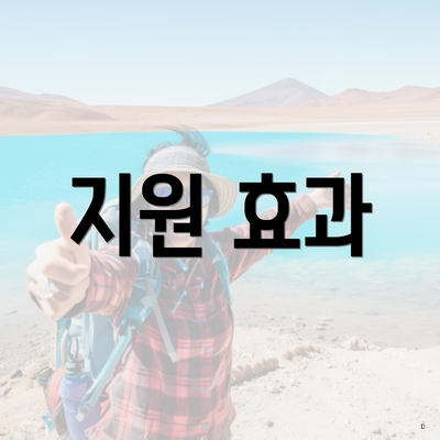 지원 효과