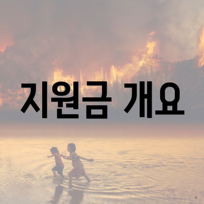 지원금 개요