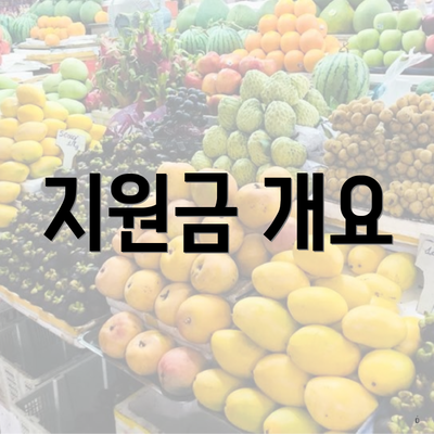 지원금 개요