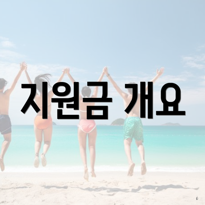 지원금 개요