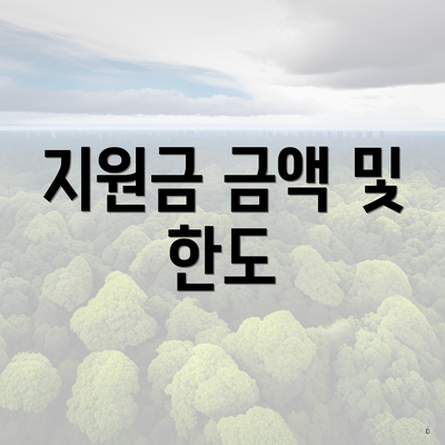 지원금 금액 및 한도