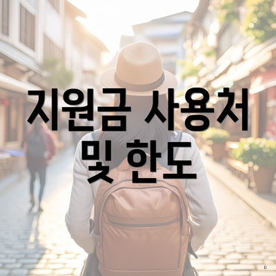 지원금 사용처 및 한도