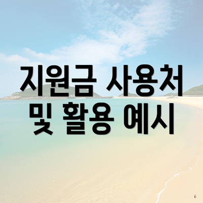 지원금 사용처 및 활용 예시