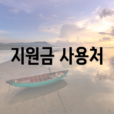 지원금 사용처