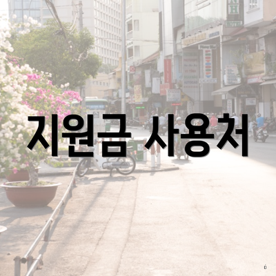 지원금 사용처