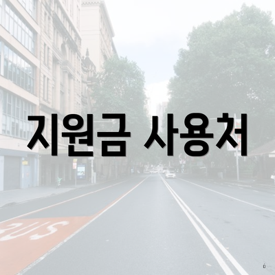 지원금 사용처