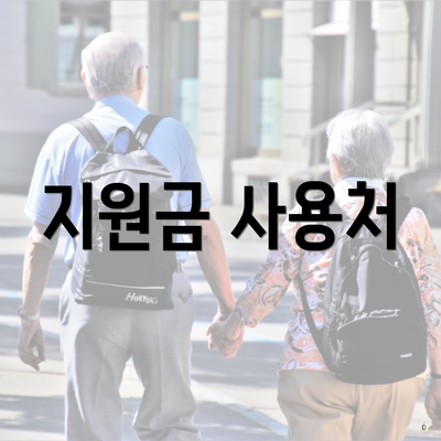 지원금 사용처