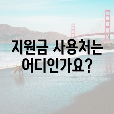 지원금 사용처는 어디인가요?
