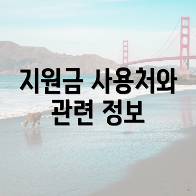 지원금 사용처와 관련 정보
