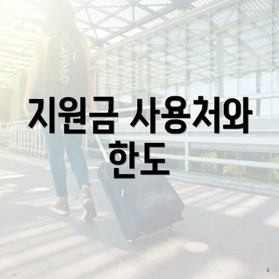 지원금 사용처와 한도