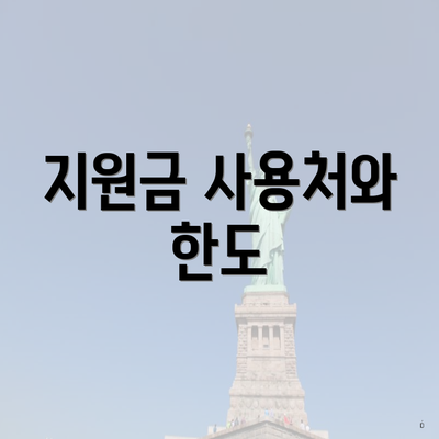 지원금 사용처와 한도