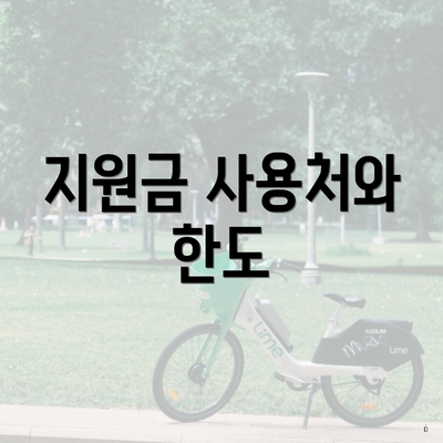 지원금 사용처와 한도