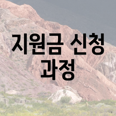 지원금 신청 과정