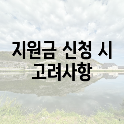 지원금 신청 시 고려사항