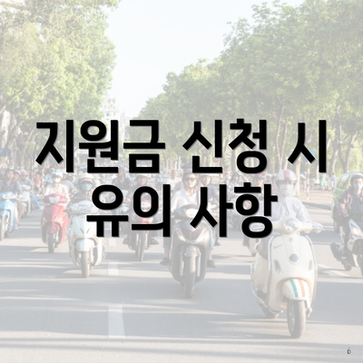 지원금 신청 시 유의 사항