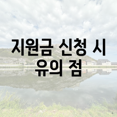 지원금 신청 시 유의 점