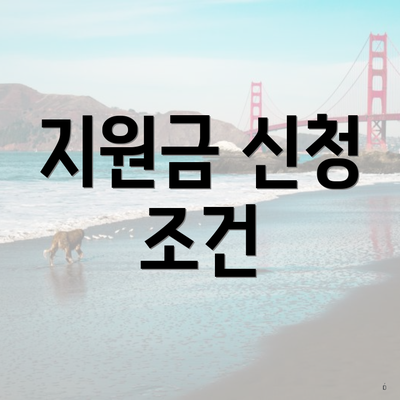 지원금 신청 조건