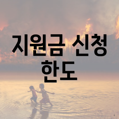 지원금 신청 한도