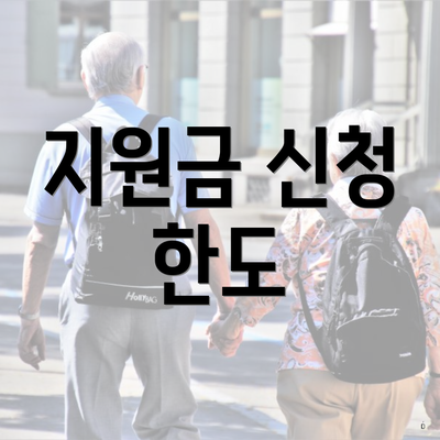 지원금 신청 한도