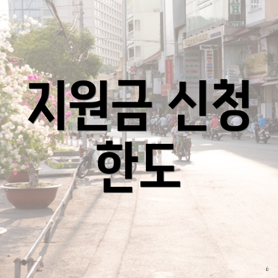 지원금 신청 한도