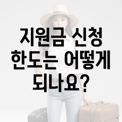 지원금 신청 한도는 어떻게 되나요?