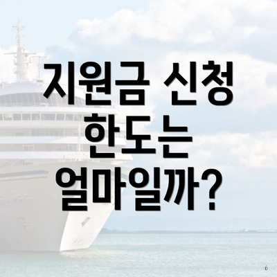 지원금 신청 한도는 얼마일까?