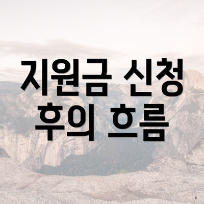 지원금 신청 후의 흐름