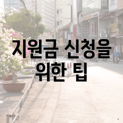 지원금 신청을 위한 팁